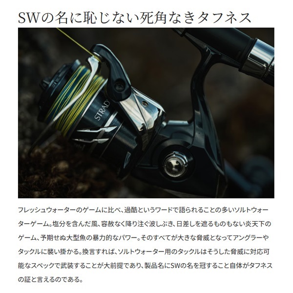 24ストラディック　SW